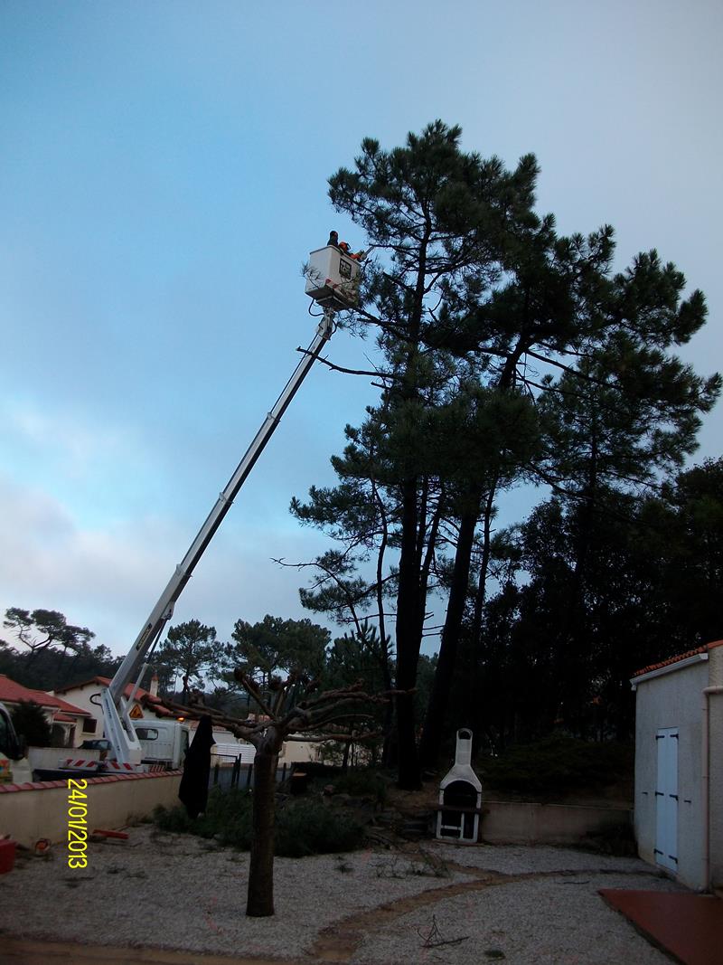 PENTAX DIGITAL CAMERA