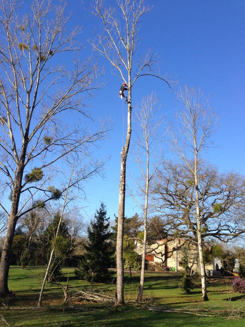 Méridionale Vert 5 1