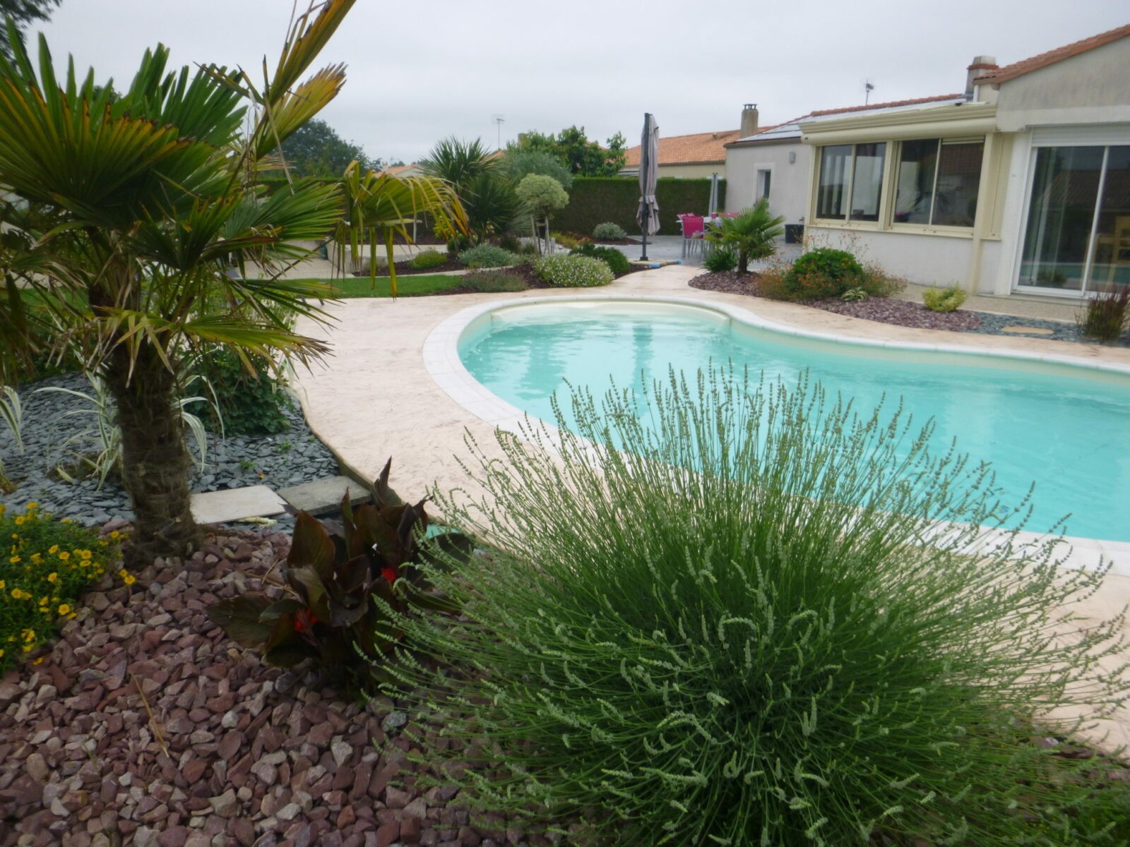 Méridionale Vert Massif Au Bord Dune Piscine Méridionale Vert Paysagiste