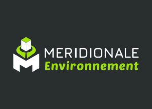 Méridionale Vert Meridionale Environnement Bloc Marque Largeur Fond Foncé