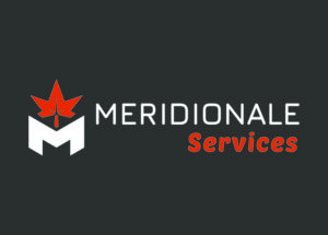 Méridionale Vert Meridionale Services Bloc Marque Largeur Fond Foncé