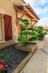 Méridionale Vert MERID2022 165 394