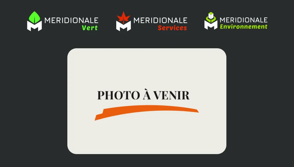 Meridionale Vert Group 1000004669 797